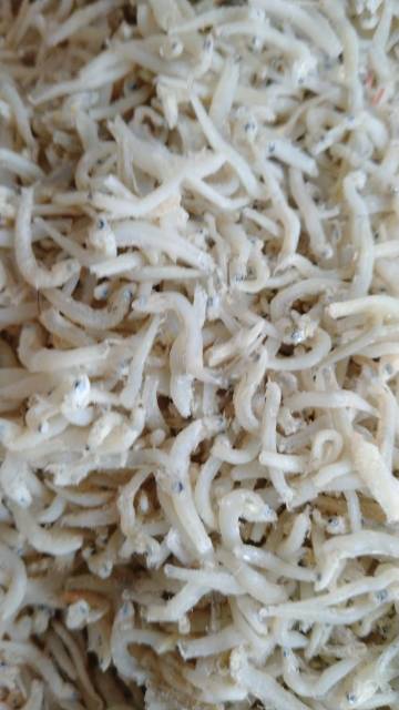 

TERI NASI SUPER TANJUNGBALAI/MEDAN FRESH