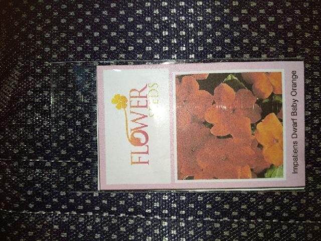 Impatiens Dwarf Baby Orange 10 Biji (benih Biji Bibit Tanaman Bunga)