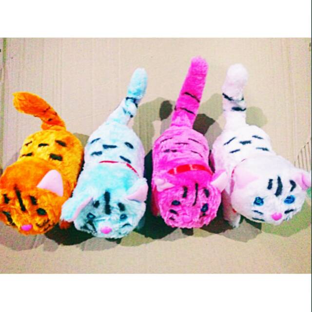 Mainan Kucing Bisa Berjalan