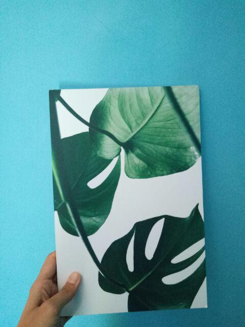 [bisa Cod] Hiasan Dinding Tropical Poster Kayu Walldecor Shabby Chic Monsterra Trs17