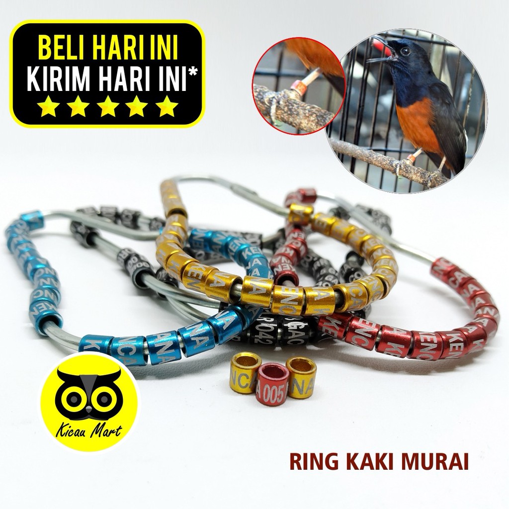 RING BURUNG LASER RING PENANDA KAKI BURUNG MURAI GELANG PENGAMAN KAKI BURUNG FOOT BIRD RINGMCR