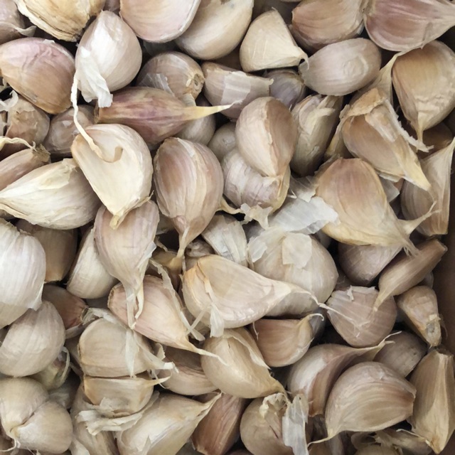 

Bawang Kating