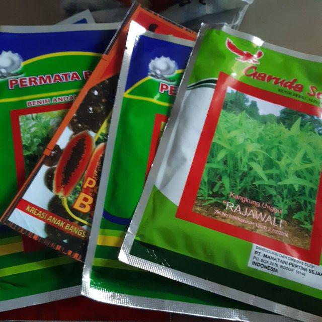 Bibit Terong Lalap Parkit Isi 10 Gram. Benih Terong. Bibit Terong Bulat. Biji Terong