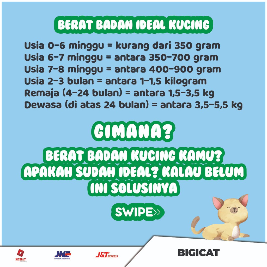 Cara Mengukur Berat Badan Ideal Kucing Anda Pet Food Indonesia