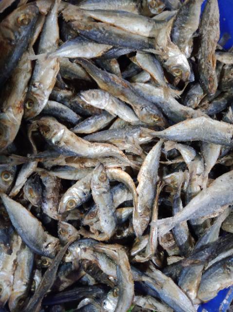 Ikan Asin Layang Lajang Pindang 100 Gram