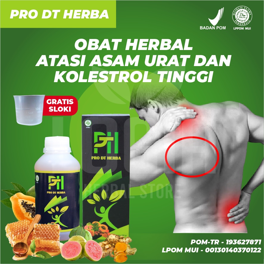 Pro DT Herba Obat Asam Urat Dan Kolesterol Tiens Rematik Menaun Ampuh Tanpa Efek Samping