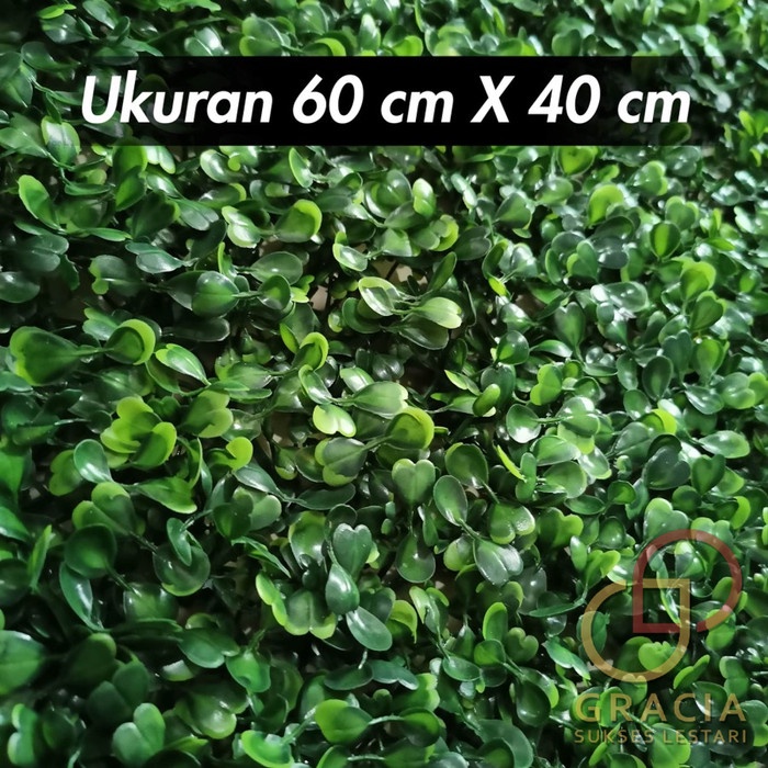 Daun Rumput Sintetis Dinding Boxwood Panel Type Dollar