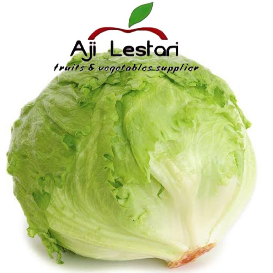 

LETTUCE ICEBERG