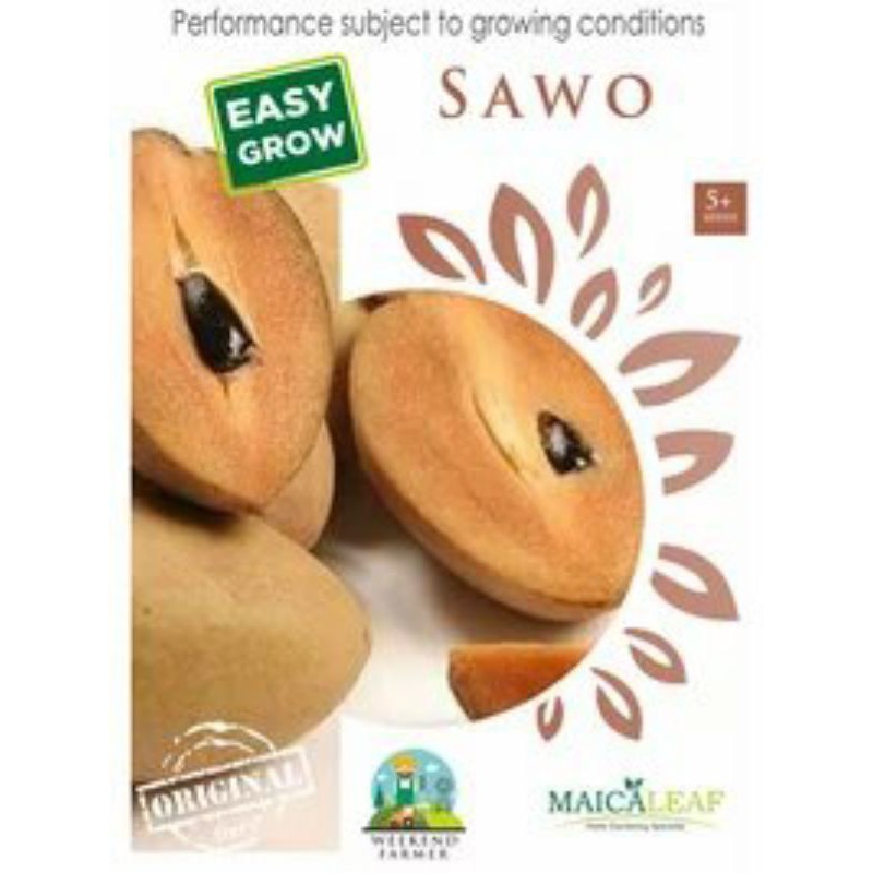 

Pack Biji Buah SAWO Lokal