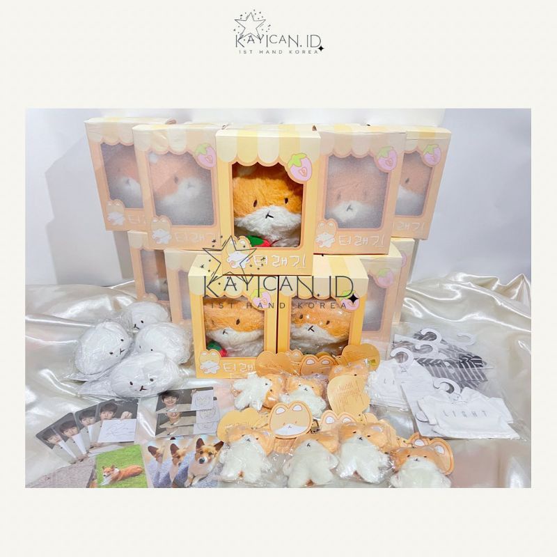 READY STOCK TEOLAEGI