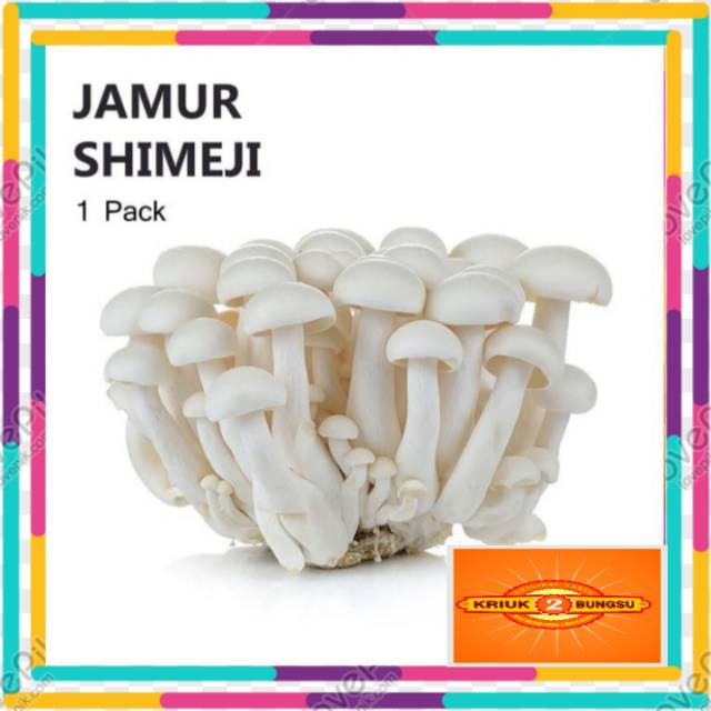 

Jamur shimeji