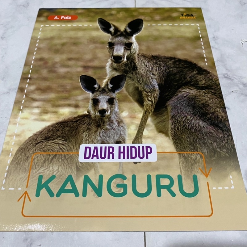 Daur hidup kanguru life cycle of animals / buku pengetahuan anak bahasa indonesia / siklus kehidupan