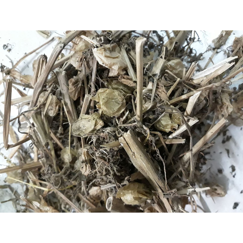 

ciplukan / ceplikan kering 100gr