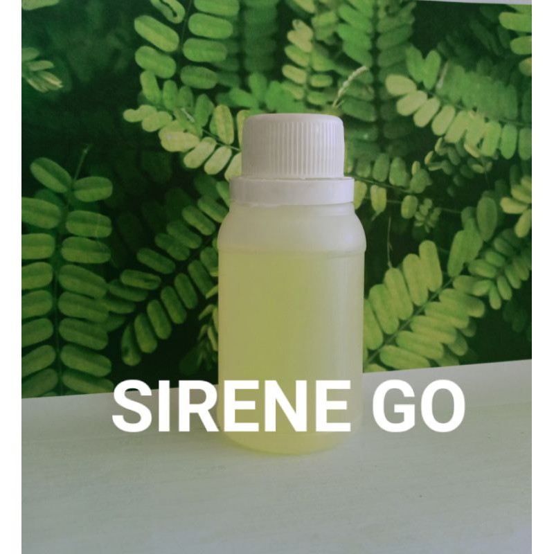 BIBIT PARFUM MURNI 100 Ml SERENE GO IB NAGITA