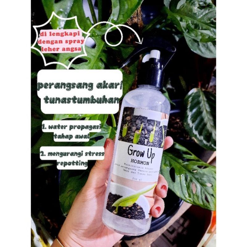 Hormon grow MAGIC  perangsang nutrisi akar dan tunas bibit segala tanaman