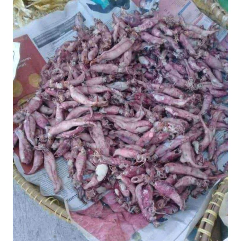 

cumi asin kering berkualitas 500gm