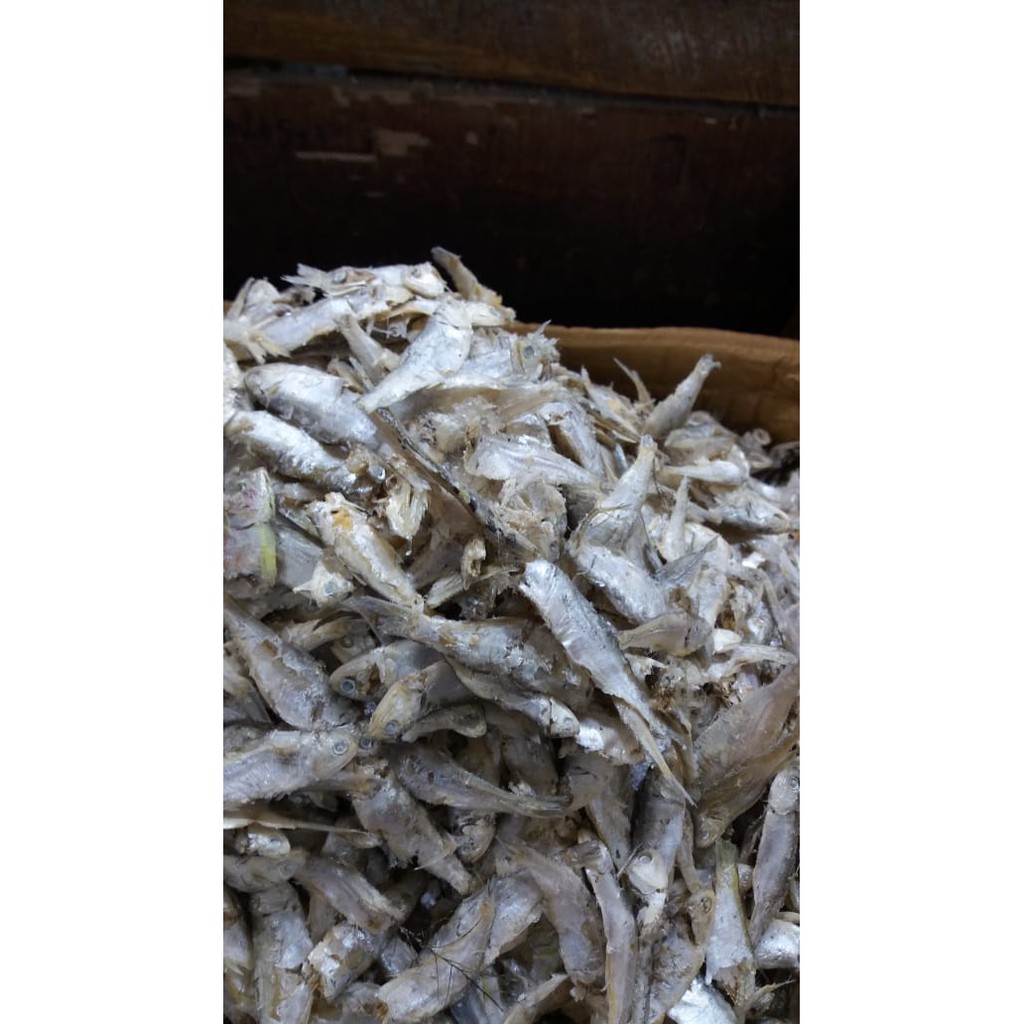 

IKAN ASIN / IKAN REBUS / IKAN SAMPAH