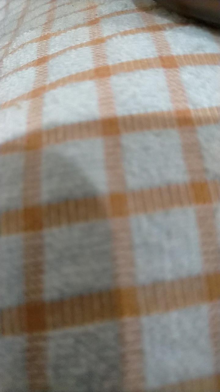 Cairan Pengusi Tikus