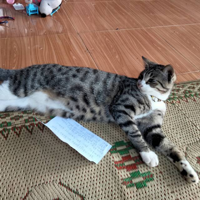 aning_trihandayani13