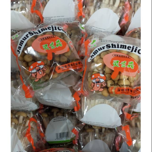 

Jamur shimeji coklat
