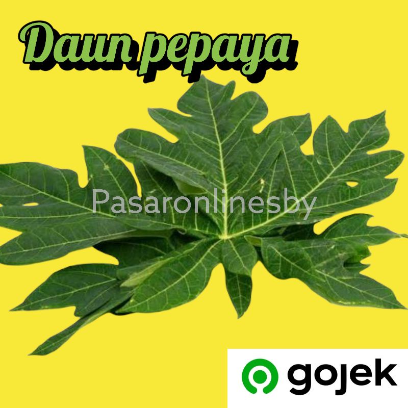

PASAR GUBENG - Sayur - Daun Pepaya - Per Ikat