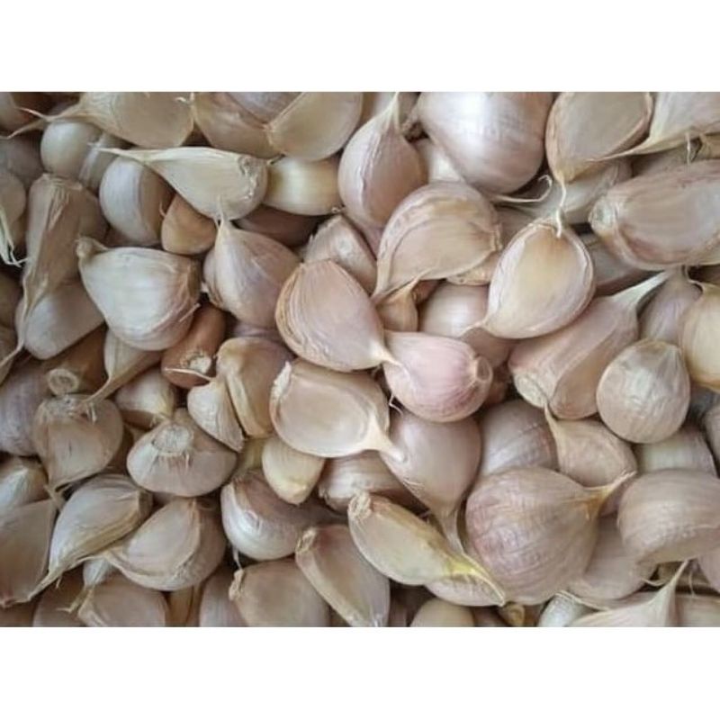 

Bawang Putih Kating 500gr