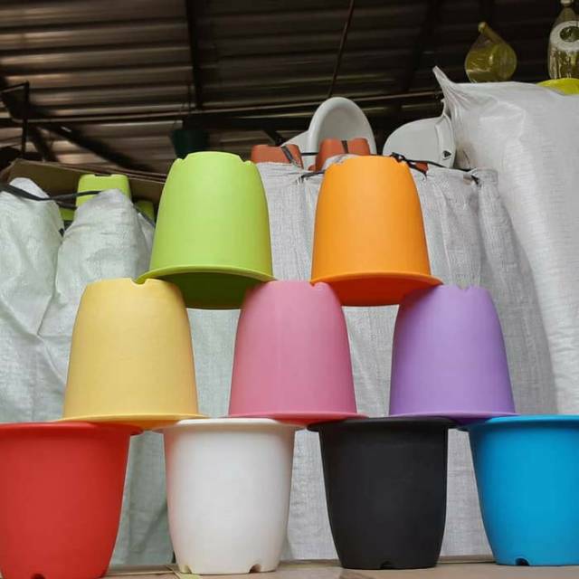  Pot  Bunga Plastik  NKT  Cactus 10cm Warna Warni Shopee 