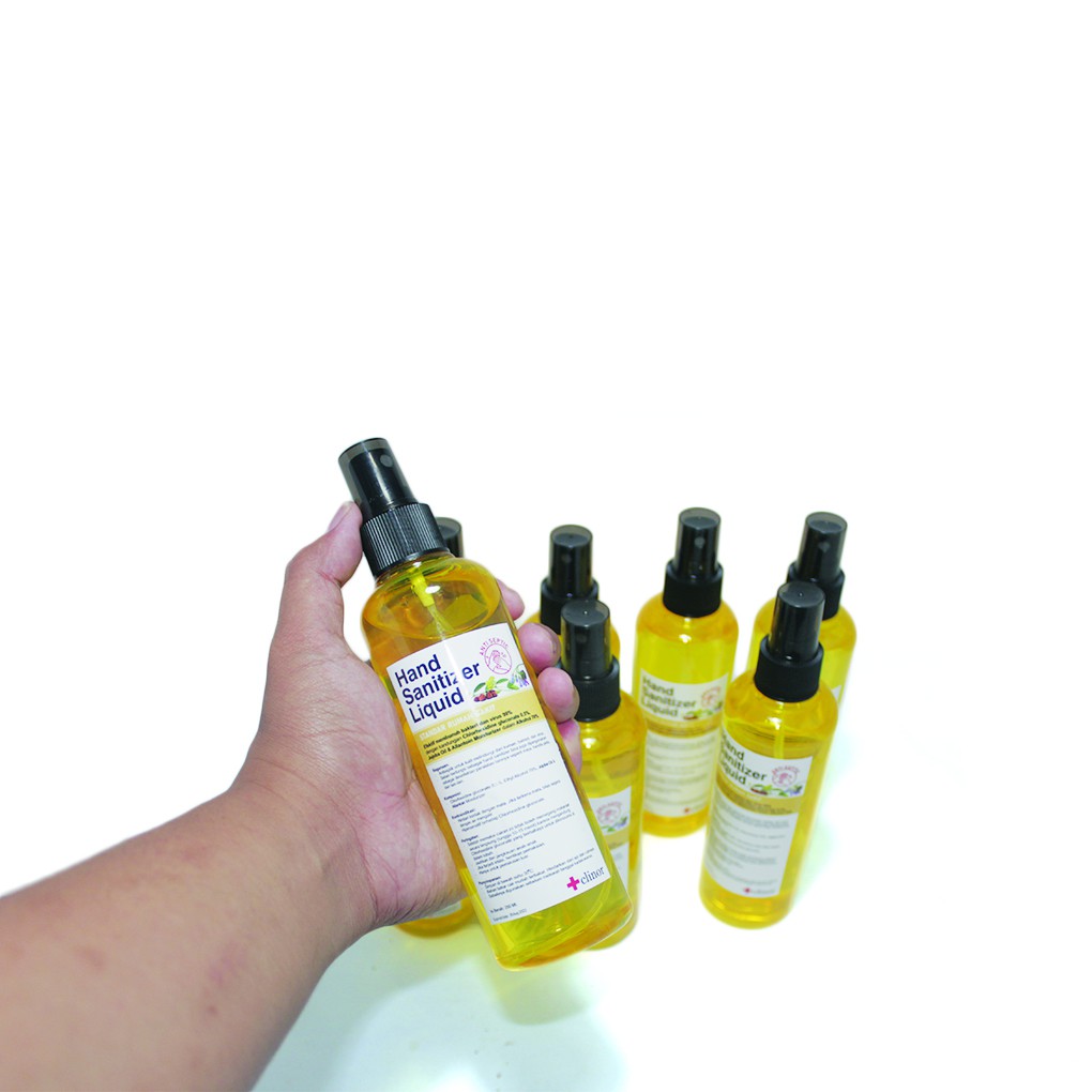 hand sanitizer 250ml pembersih tangan ukuran besar