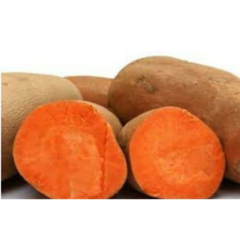 

UBI RAMBAT MERAH 1KG