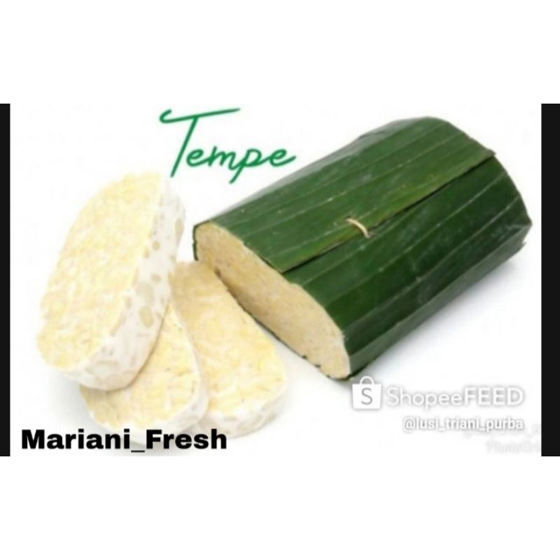 

Tempe daun segar