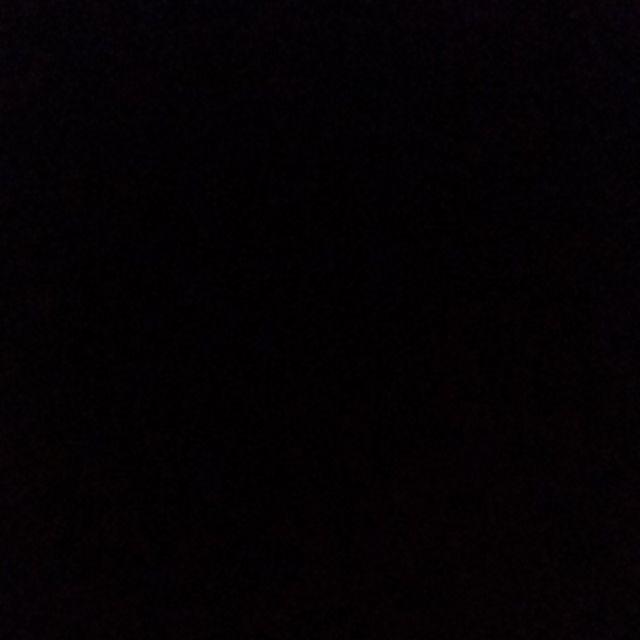 Paket 5 Batang Bibit Tanaman Her Bal Daun Dewa