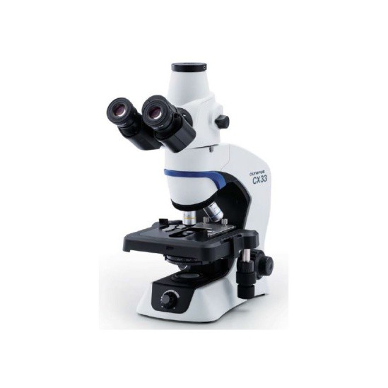 Olympus System Microscope BX53