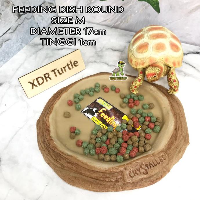 Feeding Dish Round Size M Piring Makan Kura Darat Reptil Hewan Sulcata Termurah