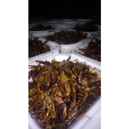

Belalang/walanggoreng