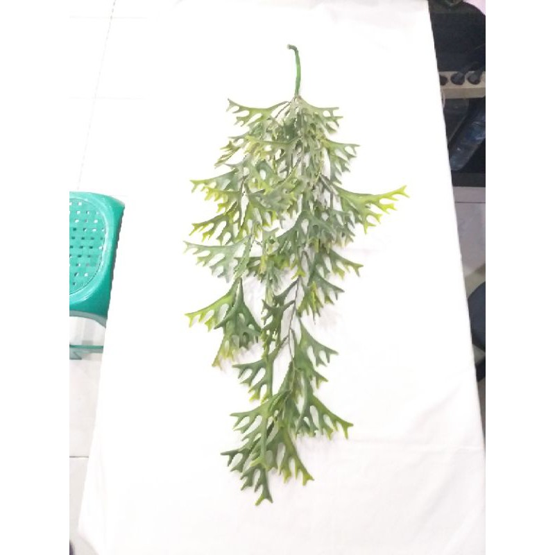 Tanduk rusa artificial / Tanduk rusa juntai artificial / Daun tanduk rusa hijau / Daun artificial