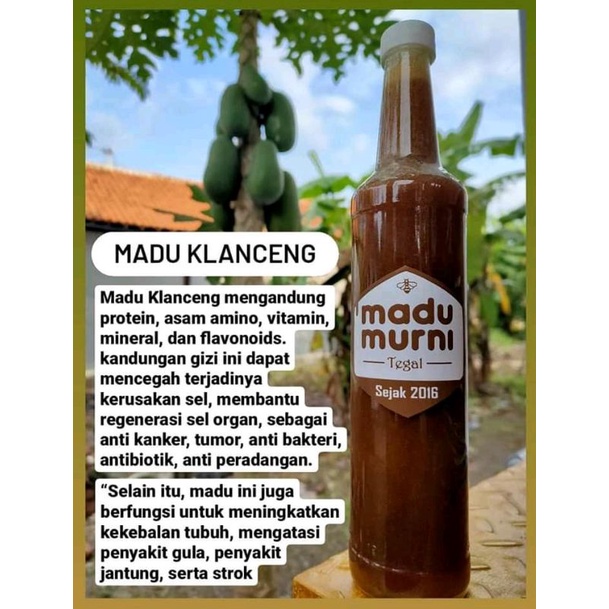 

Madu Klanceng Murni 650 Gram 100% Asli Madu Mentah kaya Akan Propolis Alami yg dihasilkan Oleh Lebah Kalnceng/Trigona