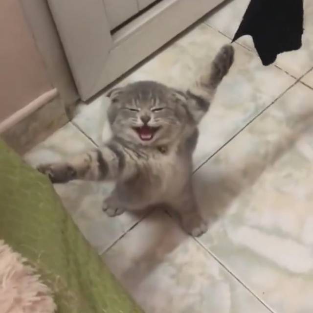 hasnapermana