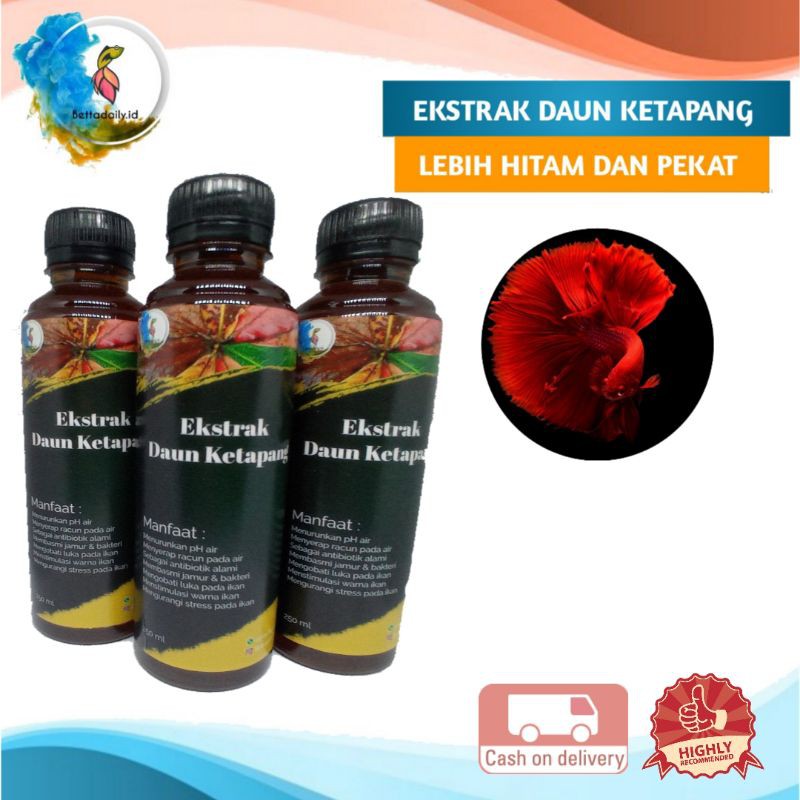 

Ekstrak daun ketapang 250 ml murah | catappa leaves | ketapang olahan