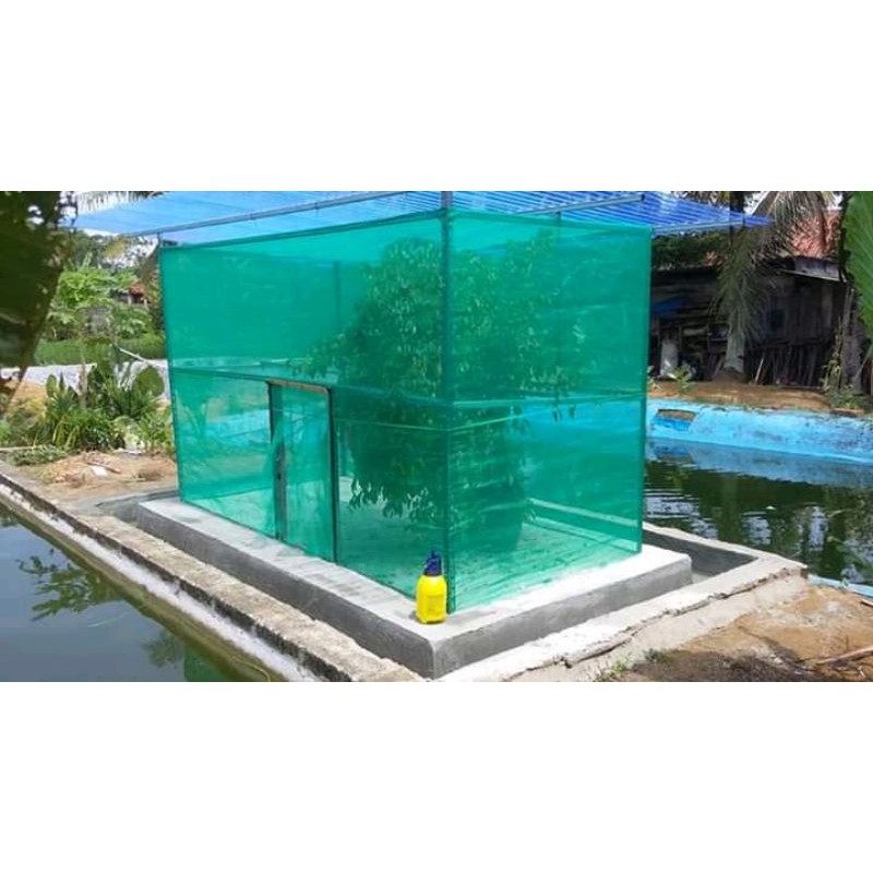 kandang bsf 2x2x2