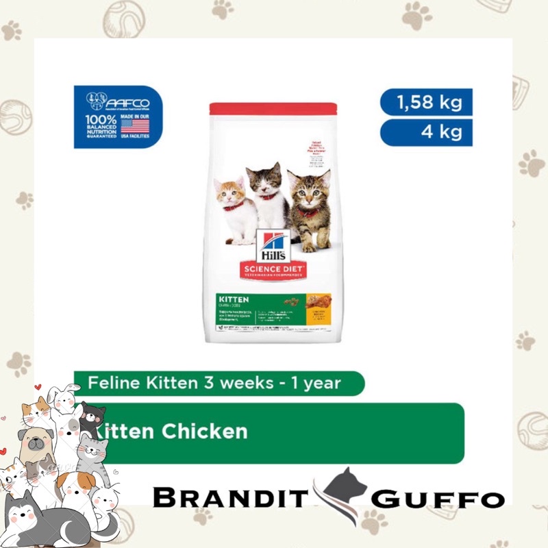 Scient diet kitten chicken makanan kucing baby cat kering bulat kibble cat food