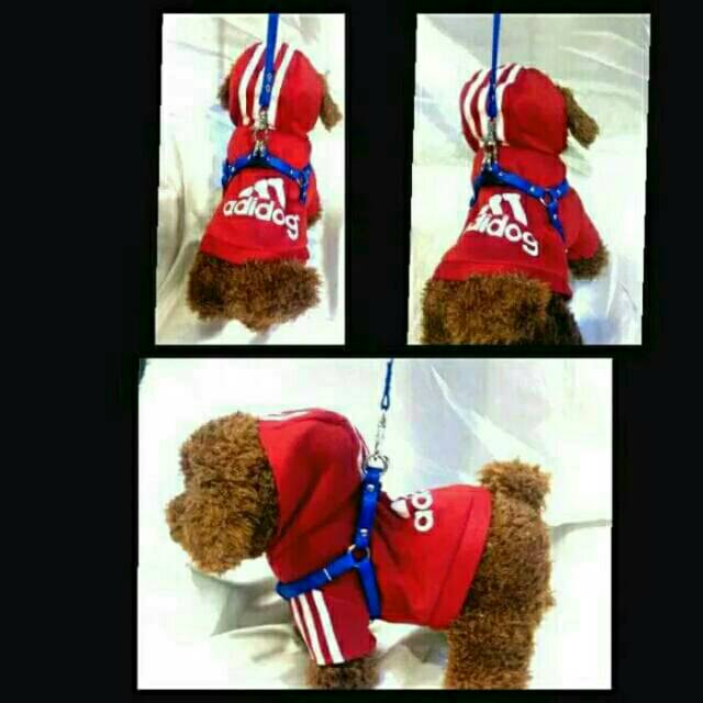 Set harness tali tuntun 1 set / kalung anjing set / kalung kucing set / kalung lonceng hewan