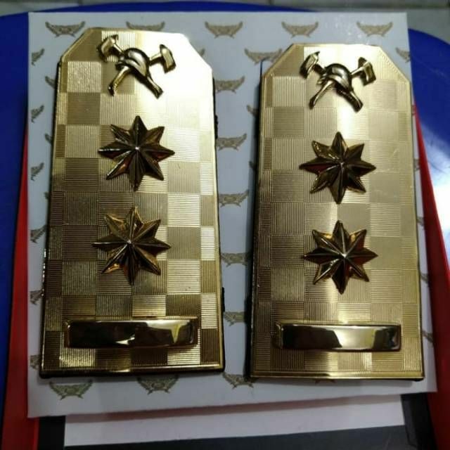 PANGKAT DAMKAR WAKIL BUPATI/WAKIL WALIKOTA