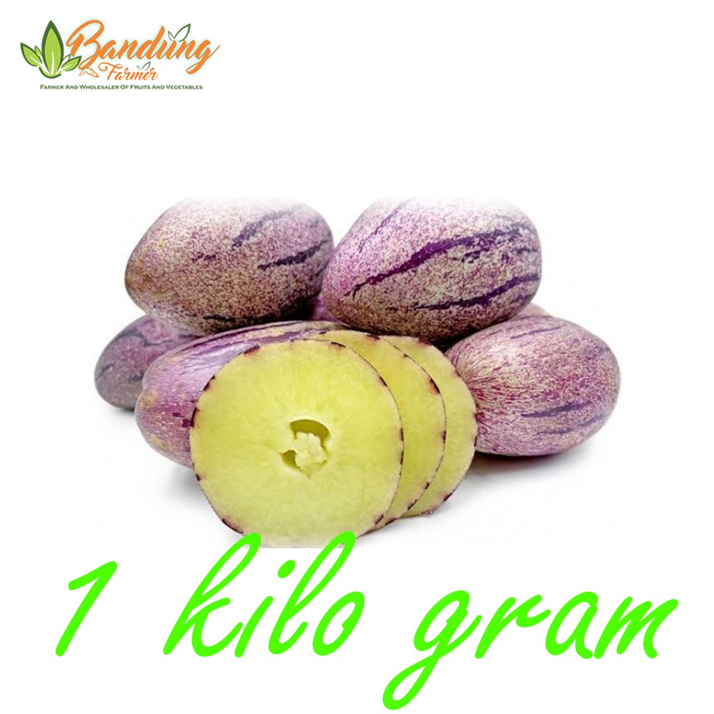 

Jual Buah Pepino Segar 1KG Buah enka kaya manfaat