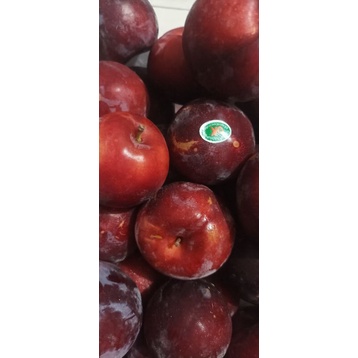 

Buah Plum / Buah / 500gram / 1Kg