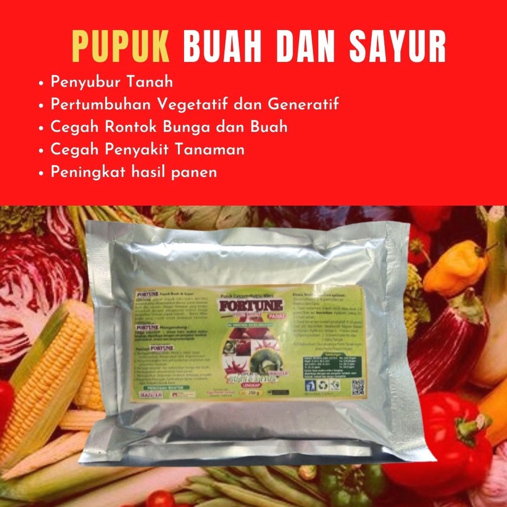 PUPUK FORTUNE Bawang Merah Dimusim Hujan, Nutrisi Tanaman Bawang Bombay, Bawang Putih
