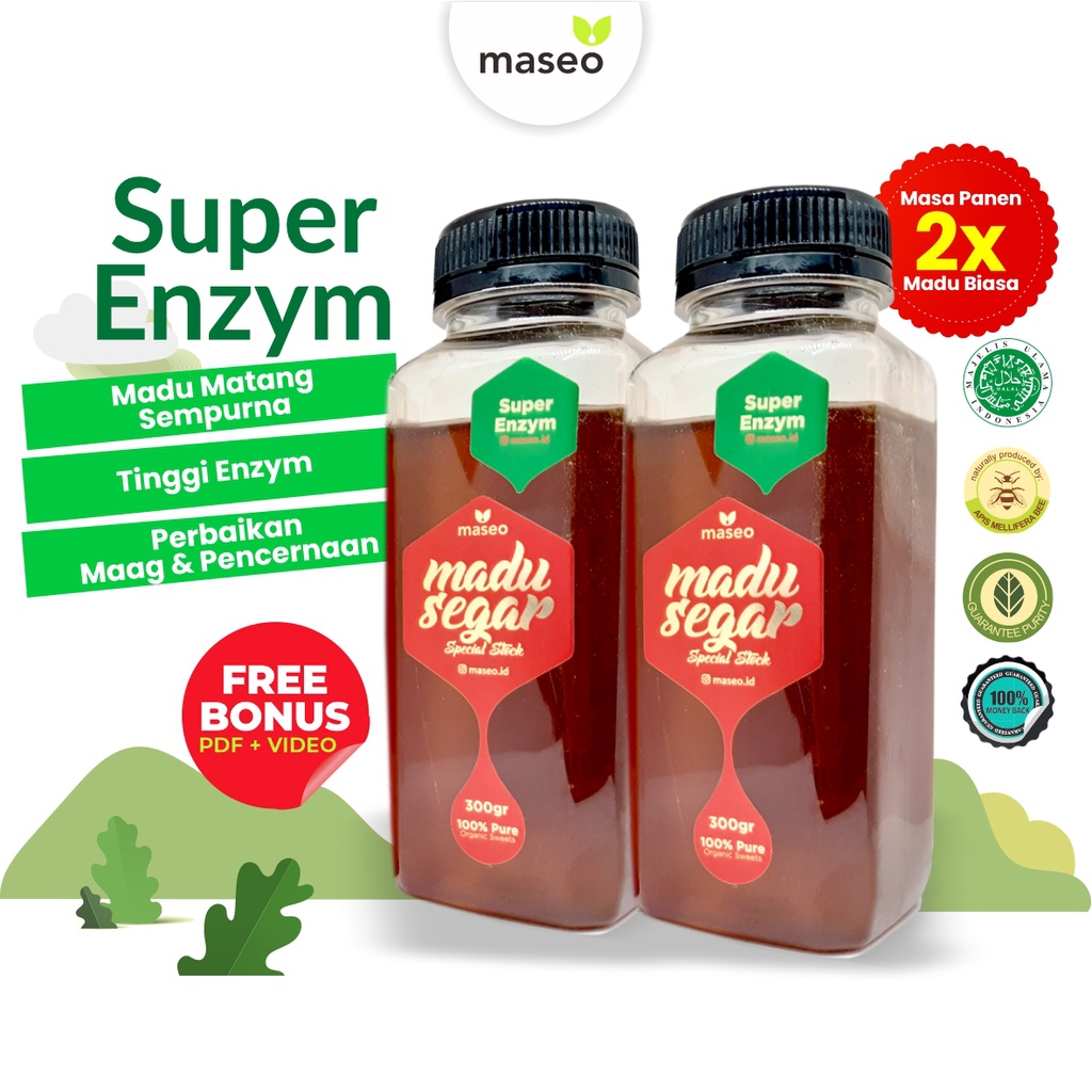 PAKET HEMAT Madu Super Enzym Maseo 600gr Madu Asli Madu Murni Organik Obat Herbal Lambung Maag Gerd 