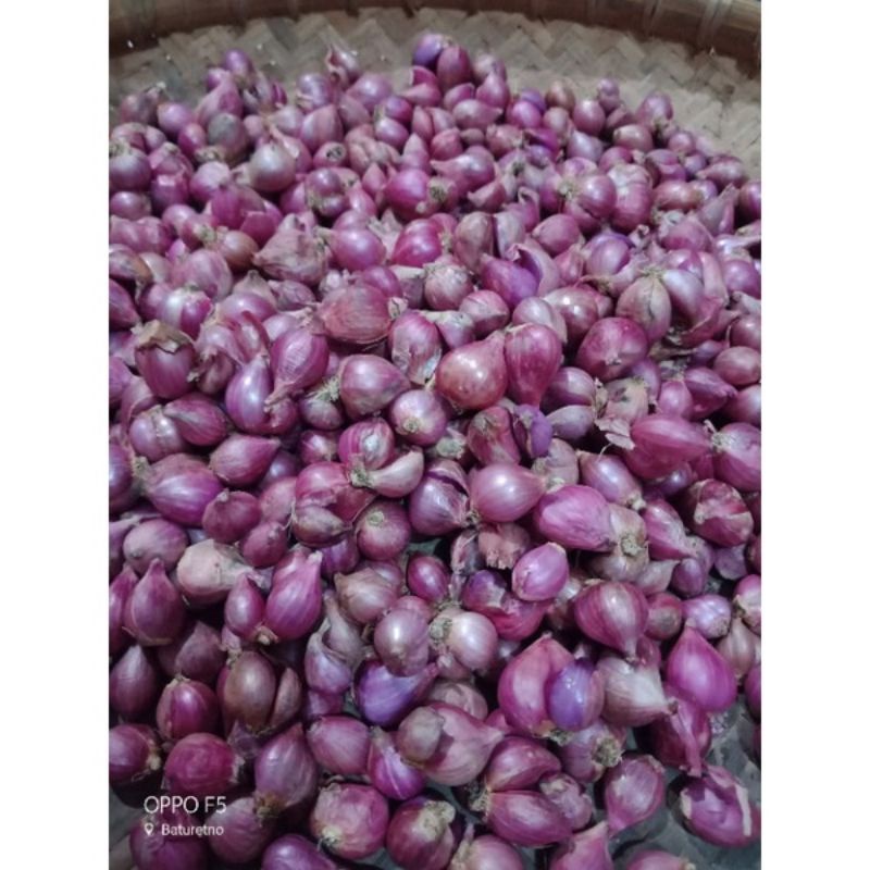 

Brambang krucil 500 gram
