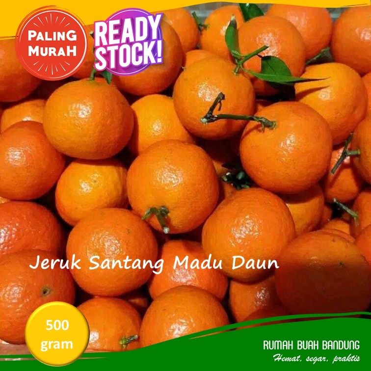 

Jeruk Wogan Daun 500 gram Maniiiss Segar