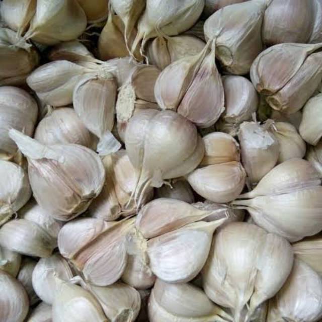 

Bawang putih kating