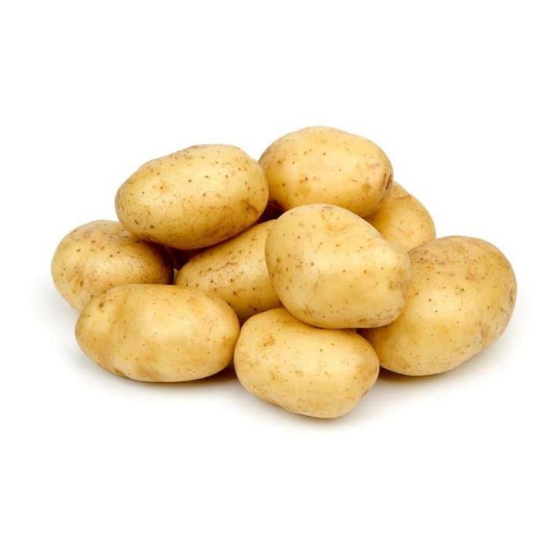 

kentang segar